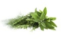 Aroma Framingham Sauvignon Blanc: herbs