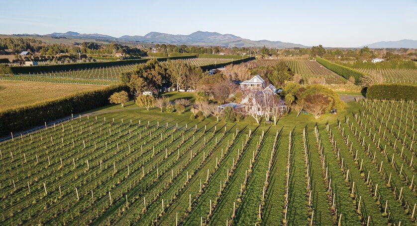 Dry River Weingut