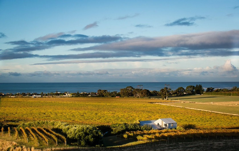 Chardonnay-Gebiet Hawkes Bay