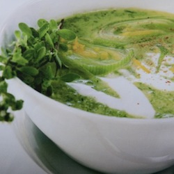 Lauchzitronensuppe mit Majoran Lauchzitronensuppe mit Majoran