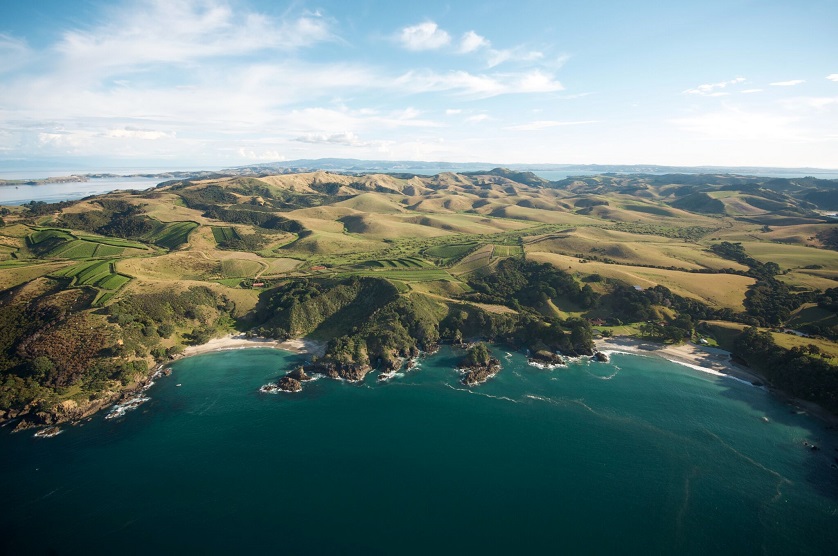 Syrah Wine region Waiheke Island