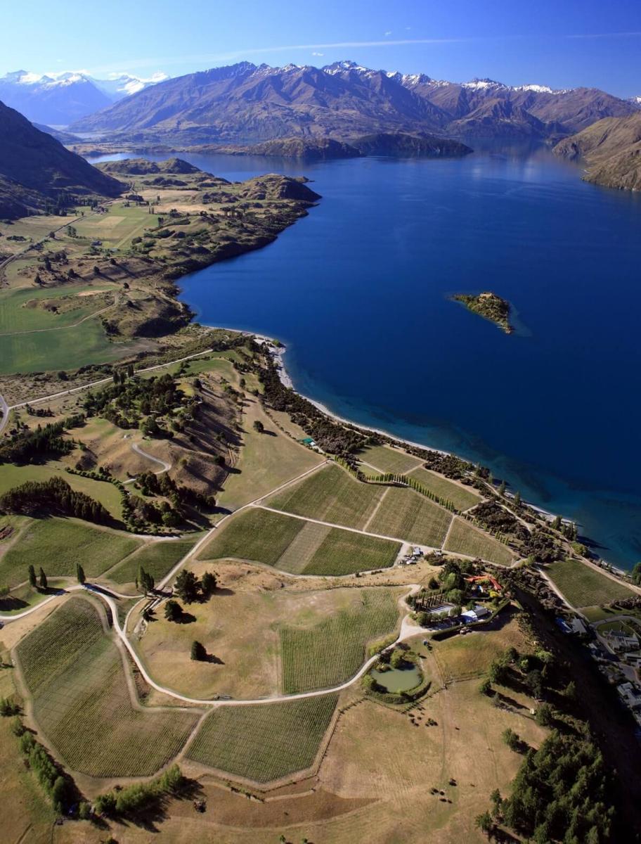 Rippon vineyards from above