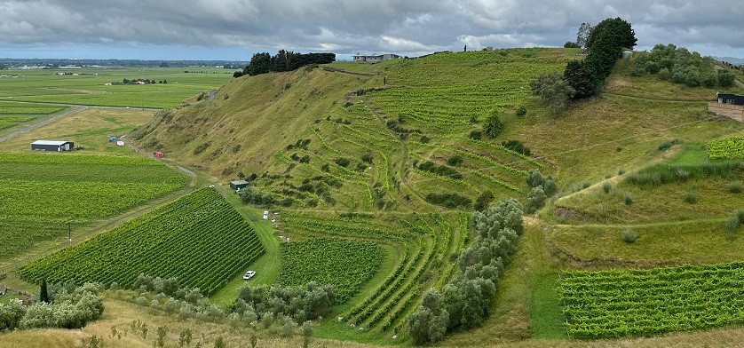 Chardonnay wine region Hawke's Bay