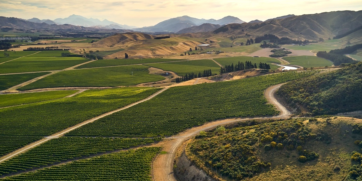 Marlborough Weinregion