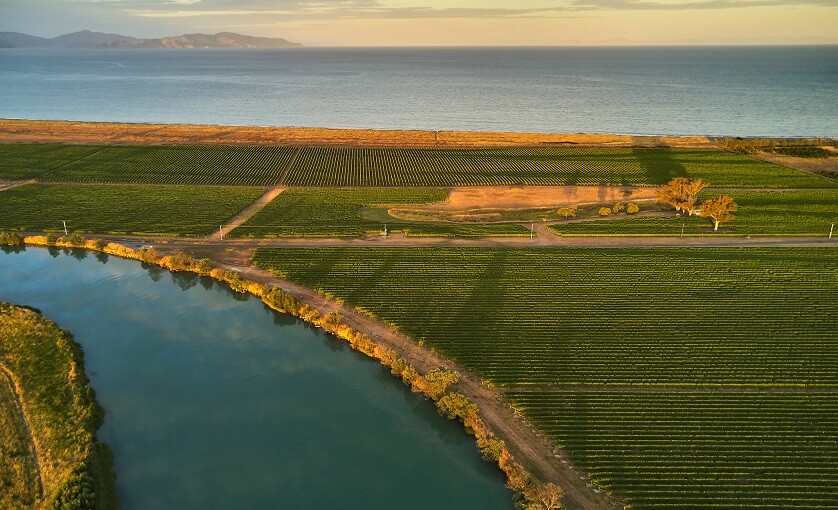 Sauvignon Blanc aus Neuseeland