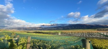 Central Otago