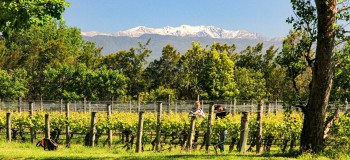 Martinborough