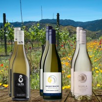 Frisch & Fruchtig Sauvignon Blanc Paket