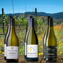 Frisch & Fruchtig Sauvignon Blanc Paket