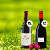 Syrah Easter Joy: Top 100 Duo