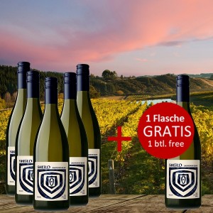5+1 Set SHEILD Sauvignon Blanc 2022 - 1 Flasche GRATIS