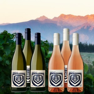 Sonnengruß aus Nelson