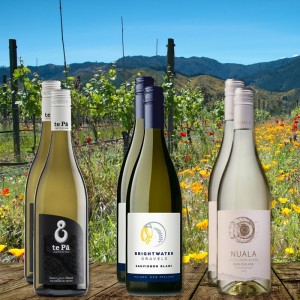 Frisch & Fruchtig Sauvignon Blanc Paket