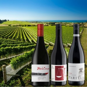 Hawke's Bay Syrah Probierpaket