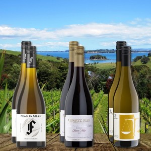 Genussvolle Begegnung: Weißwein vs. Rotwein