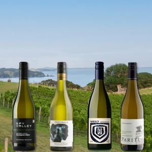Sauvignon Blanc Einsteigerpaket
