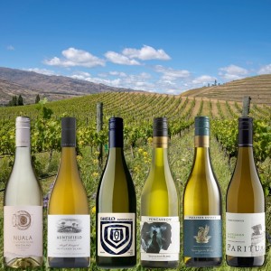 Sauvignon Blanc Reise durch Neuseeland