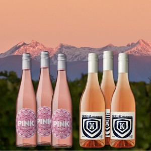 Sommer-Rosé-Paket