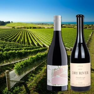 Syrah Deluxe Duo