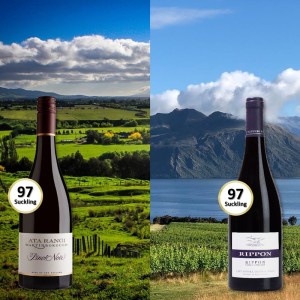 Weltklasse Pinot Noir Duo Paket