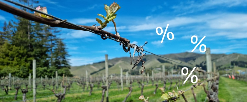 Sauvignon Blanc Angebote